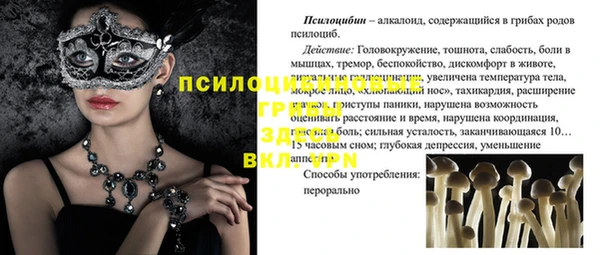 дурь Алексеевка