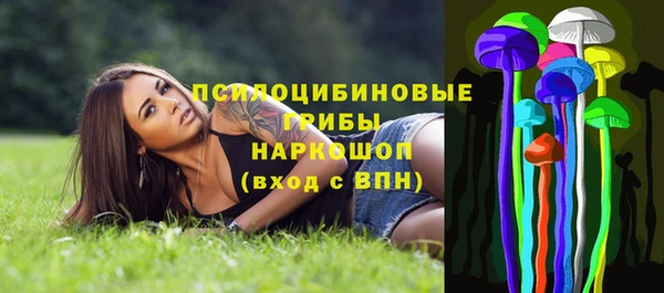амф Алзамай